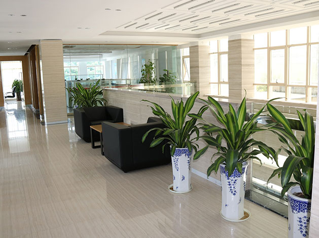 公司场景 公司场景
